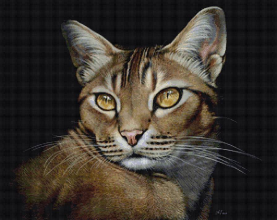 кошачий портрет - коты, котики, портрет, кот - предпросмотр