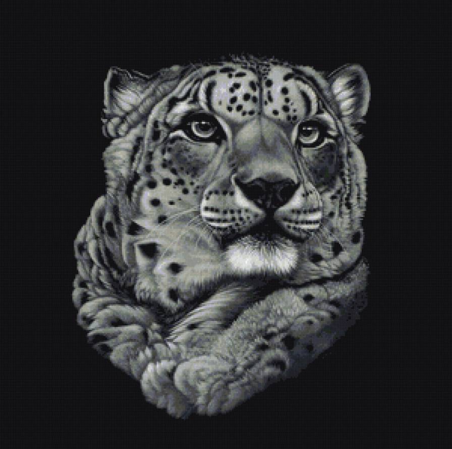 портрет леопарда - портрет, животные - предпросмотр