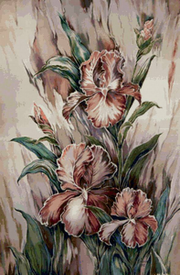 ирисы - цветы - предпросмотр