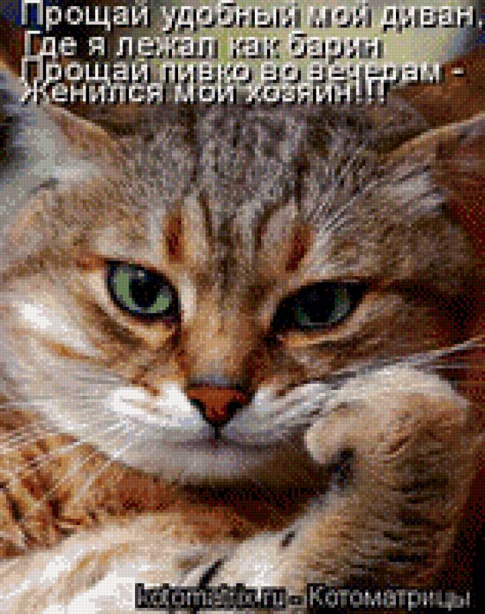 хозяин - предпросмотр