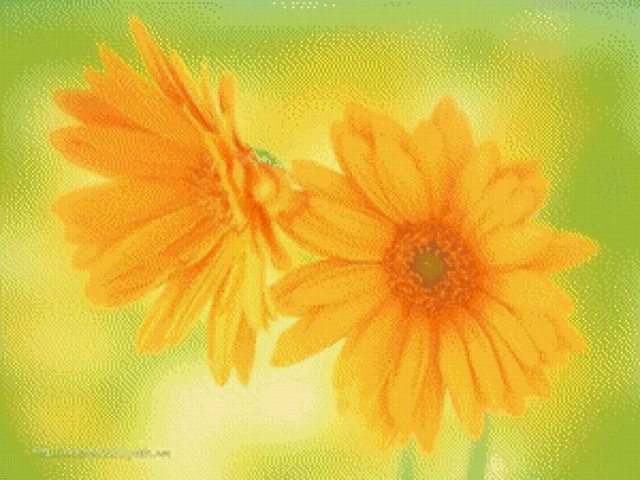 ноготки - предпросмотр