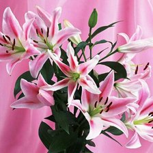 Схема вышивки «лилий»