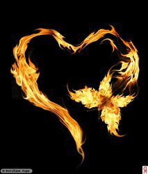 огненый бабочка - оригинал