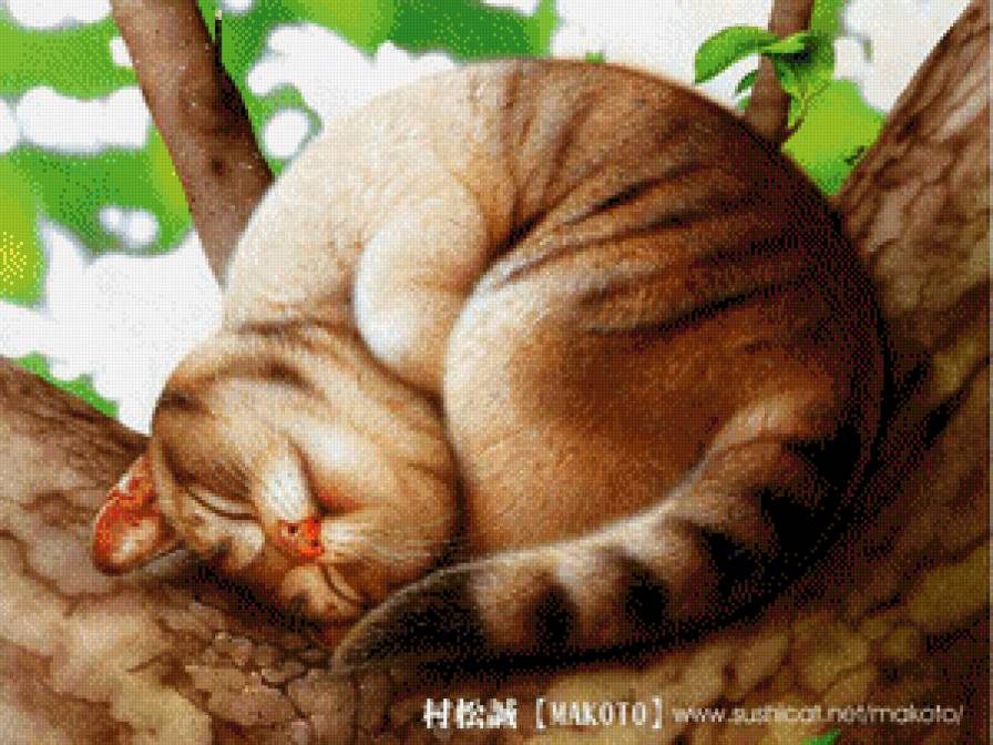 спящий кот - кот - предпросмотр