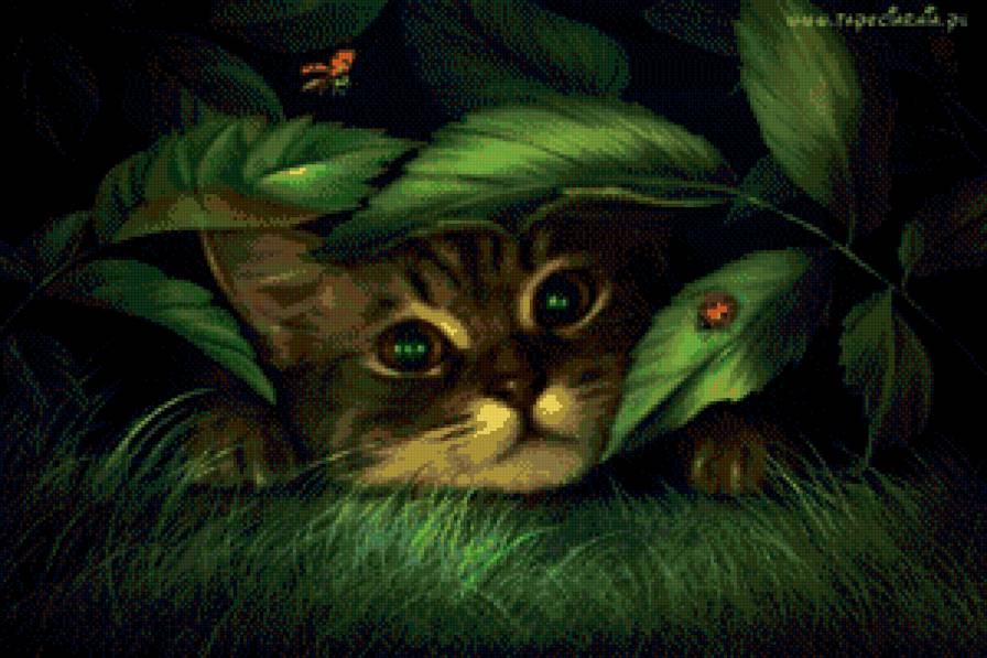 спрятался - кошка, животные, кот - предпросмотр