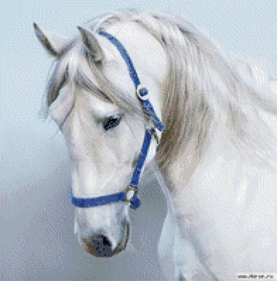 луна - предпросмотр