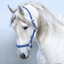 Схема вышивки «луна»