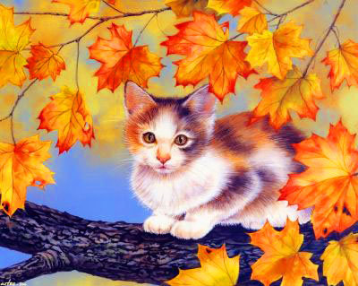 котенок - котята, осень, кошка, кошки, котик, кот, животные - оригинал