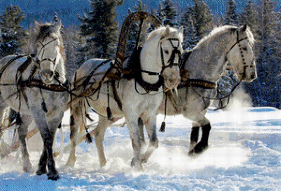 тройка лошадей - предпросмотр