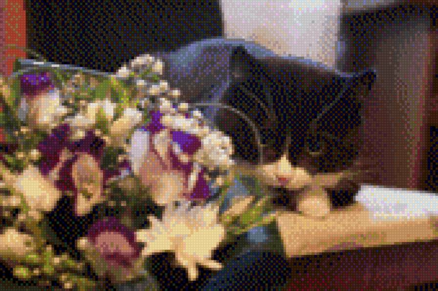 мамин кот - предпросмотр