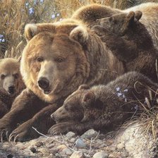 Схема вышивки «Медведица с медвежатами малая»