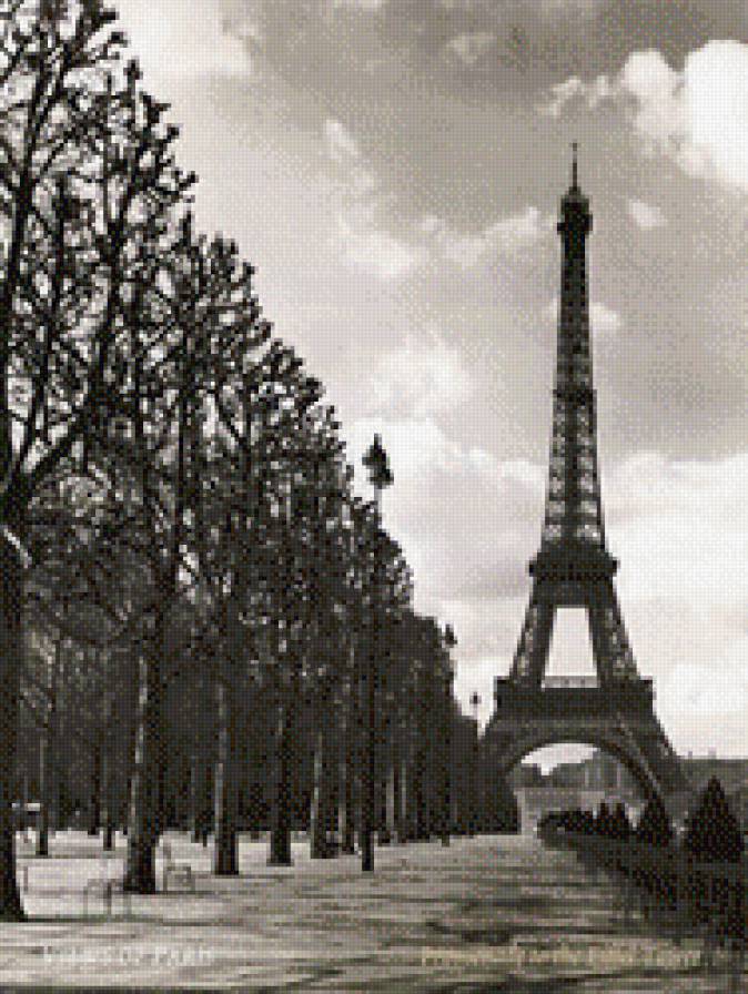 Париж - город, черно-белое, париж, природа - предпросмотр