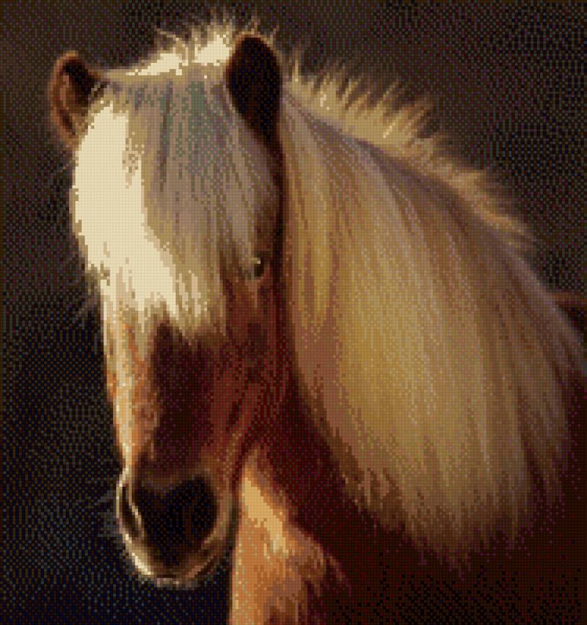 №778572 - предпросмотр