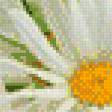 Предпросмотр схемы вышивки «№778614»