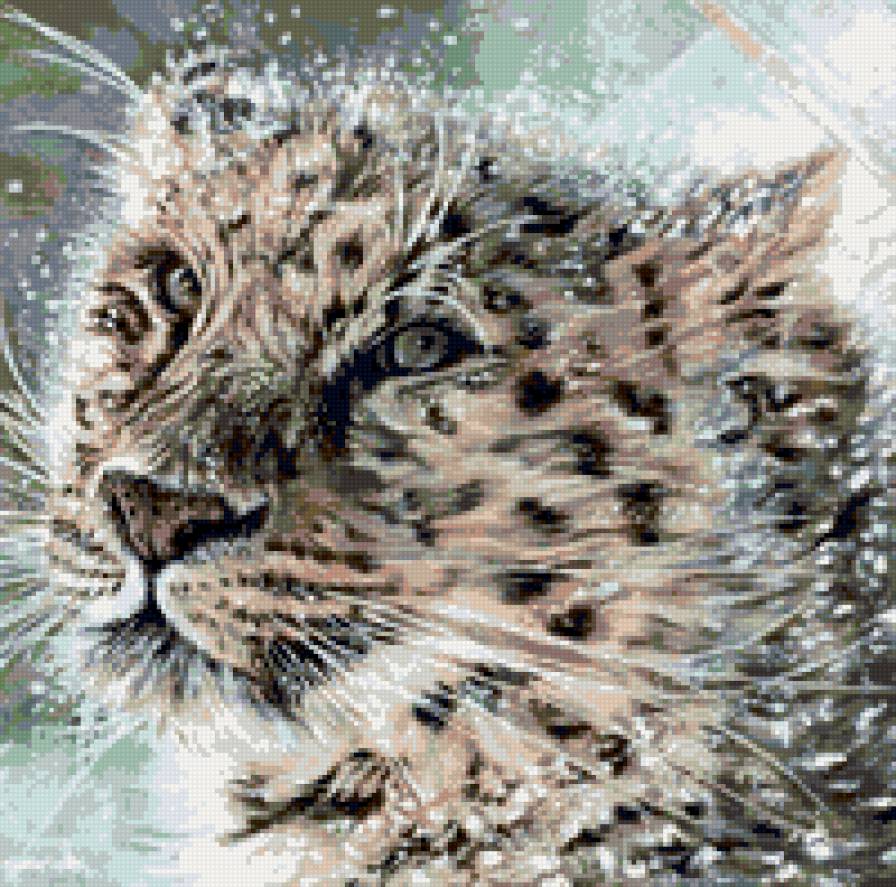 Снежный леопард - леопард - предпросмотр