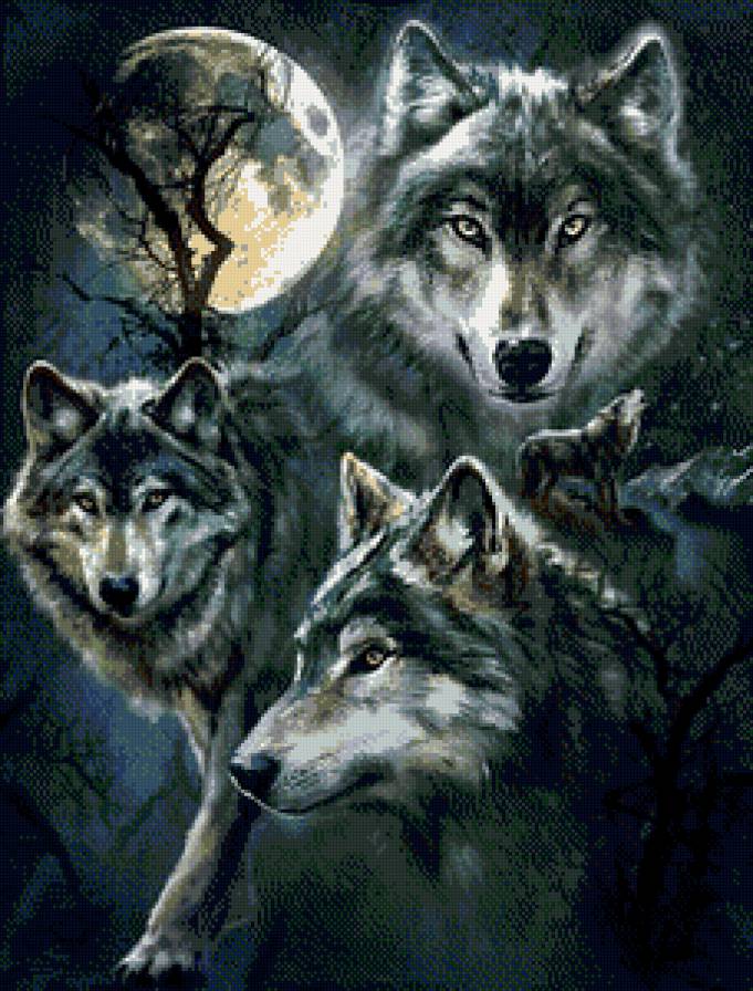 Волки - волки, животные, лес - предпросмотр