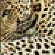 Предпросмотр схемы вышивки «Леопард» (№778840)