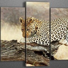 Схема вышивки «Леопард»