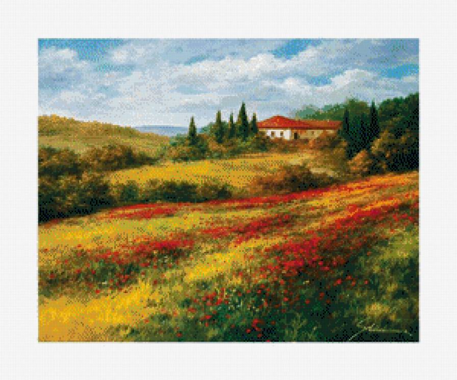 Маковое поле - предпросмотр