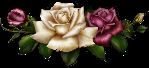 Розы - оригинал