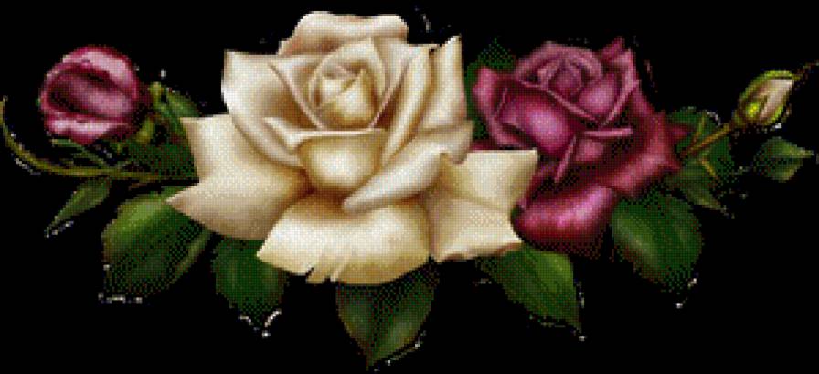 Розы - предпросмотр