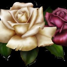 Схема вышивки «Розы»