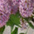 Предпросмотр схемы вышивки «Сирень» (№778921)
