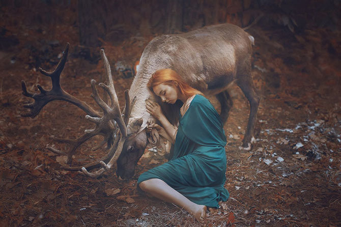 Девушка - лес, люди, животные, любовь, олень - оригинал