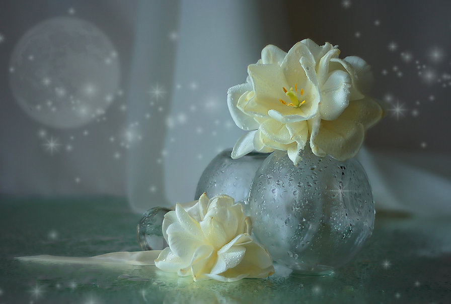 натюрморт - натюрморт - оригинал