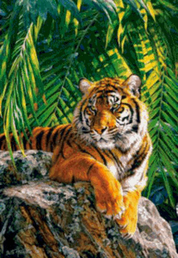 Тигр - на камне, тигр, отдых - предпросмотр