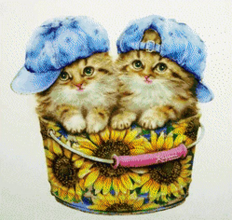 Котята - животные - предпросмотр