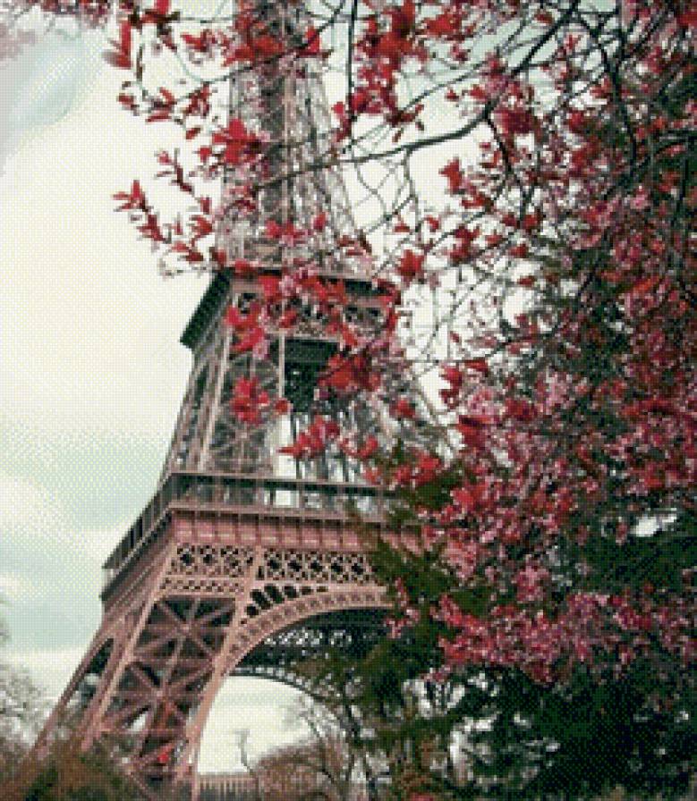 Эйфелева башня - башня, париж, весна, вишня. деревья - предпросмотр