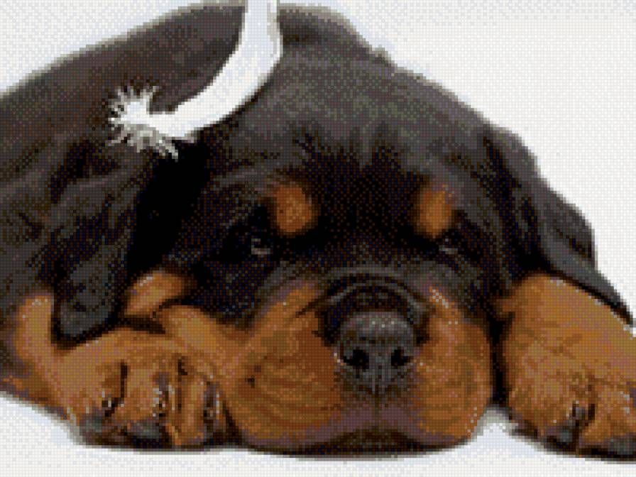 посмотри на меня - предпросмотр