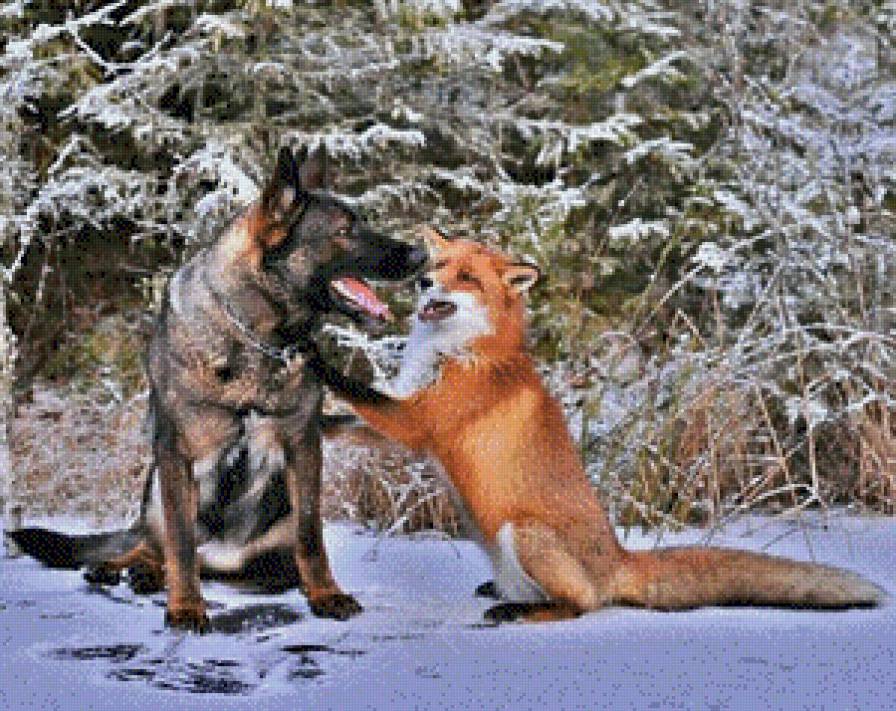 встреча друзей - животные - предпросмотр