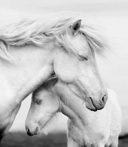 №780353 - оригинал