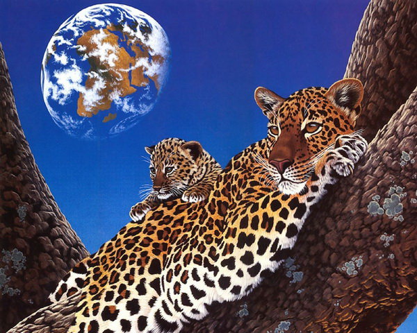 Животные фэнтези - кошка, хищник, животные - оригинал