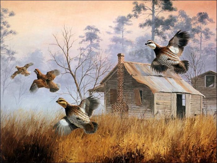 №780479 - оригинал