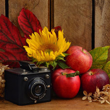 Схема вышивки «№780486»