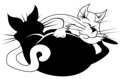 котики - монохром - оригинал