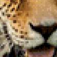 Предпросмотр схемы вышивки «леопард» (№780604)