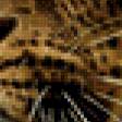 Предпросмотр схемы вышивки «леопард1» (№780607)