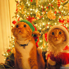 Схема вышивки «С рождеством»