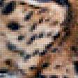 Предпросмотр схемы вышивки «леопард» (№780633)