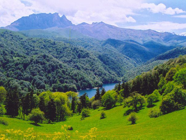 природа в горах - оригинал