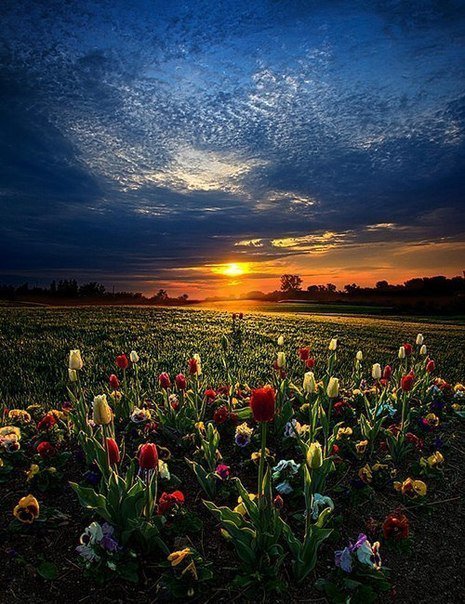 красиво - оригинал