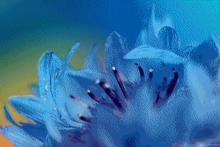 цветок - предпросмотр