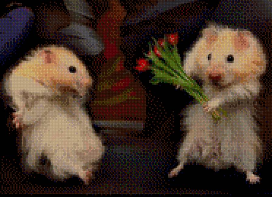 хома 3 - предпросмотр