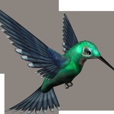 Схема вышивки «колибри»