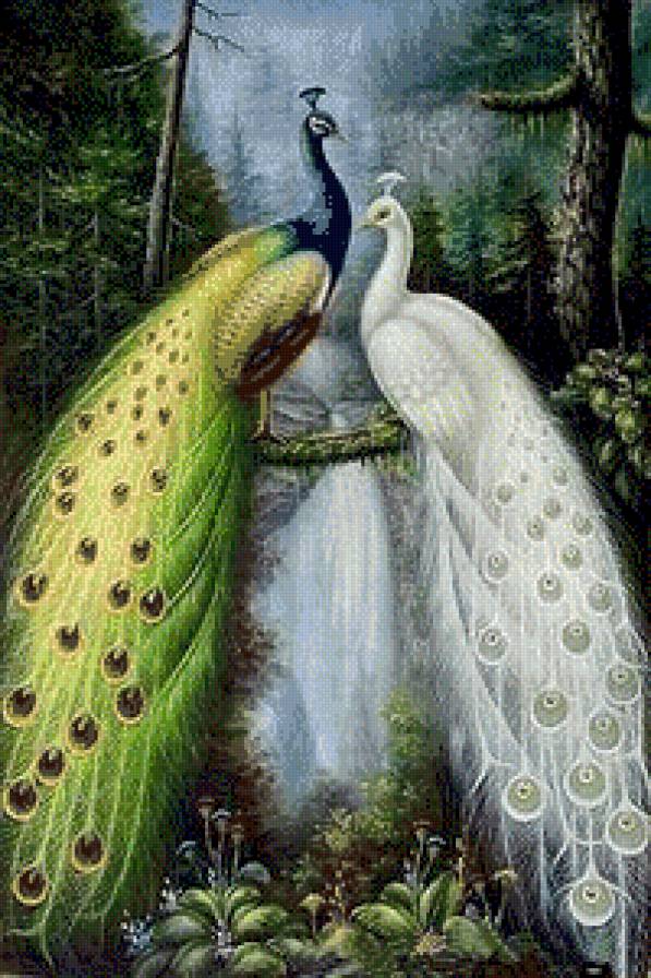 №781072 - предпросмотр