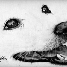 Схема вышивки «щенок»